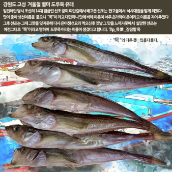 강원마트 더해담,더해담 동해바다 반건 도루묵 30마리