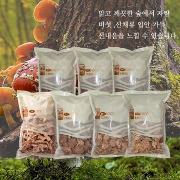 강원마트 더해담,더해담 표고버섯채 500g 국내산