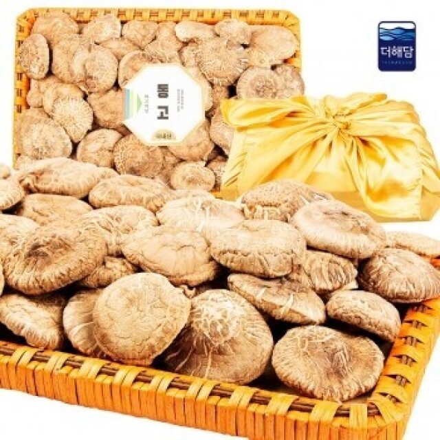 강원고성몰,더해담 동고 표고세트 특호 (1kg)