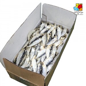아침미소 디포리 1.5kg